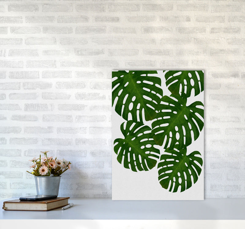 Monstera Leaf I Print By Orara Studio, Framed Botanical & Nature Art Print A2 Black Frame
