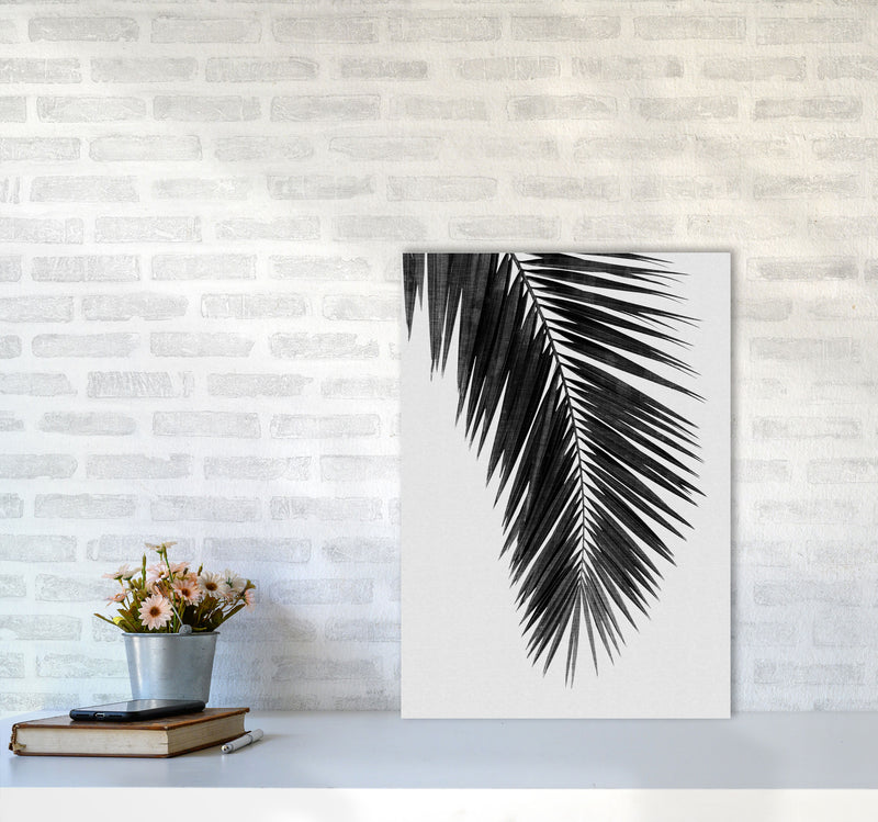 Palm Leaf Black & White I Print By Orara Studio A2 Black Frame
