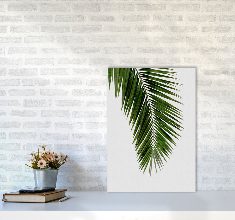 Palm Leaf I Print By Orara Studio, Framed Botanical & Nature Art Print A2 Black Frame