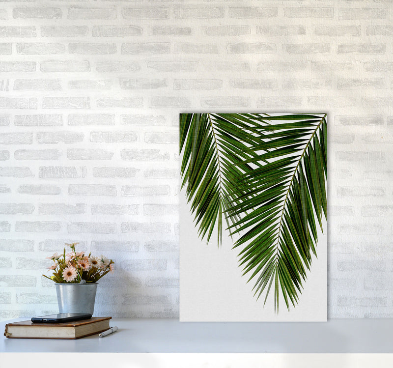 Palm Leaf II Print By Orara Studio, Framed Botanical & Nature Art Print A2 Black Frame