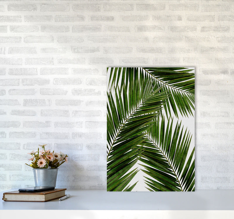 Palm Leaf III Print By Orara Studio, Framed Botanical & Nature Art Print A2 Black Frame