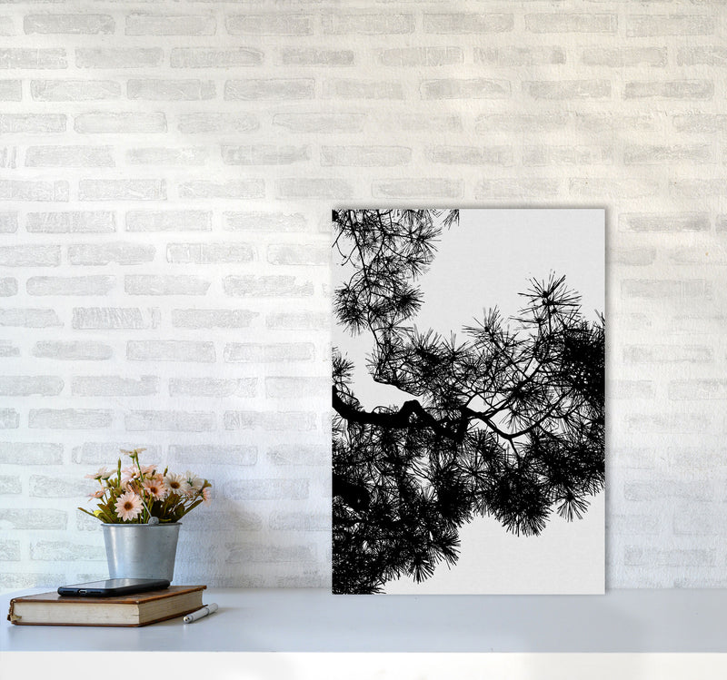 Pine Tree Black & White Print By Orara Studio A2 Black Frame