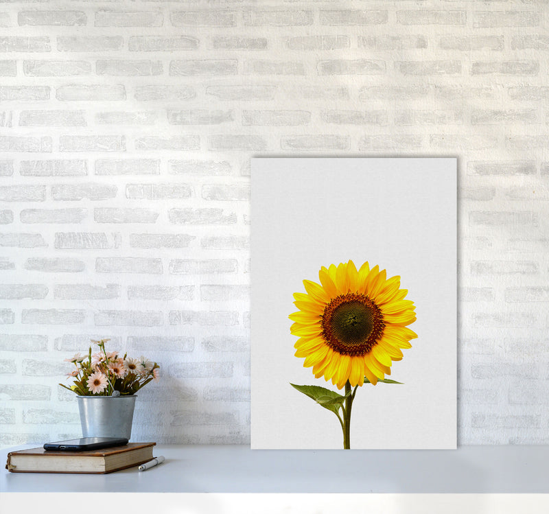 Sunflower Still Life Print By Orara Studio, Framed Botanical & Nature Art Print A2 Black Frame