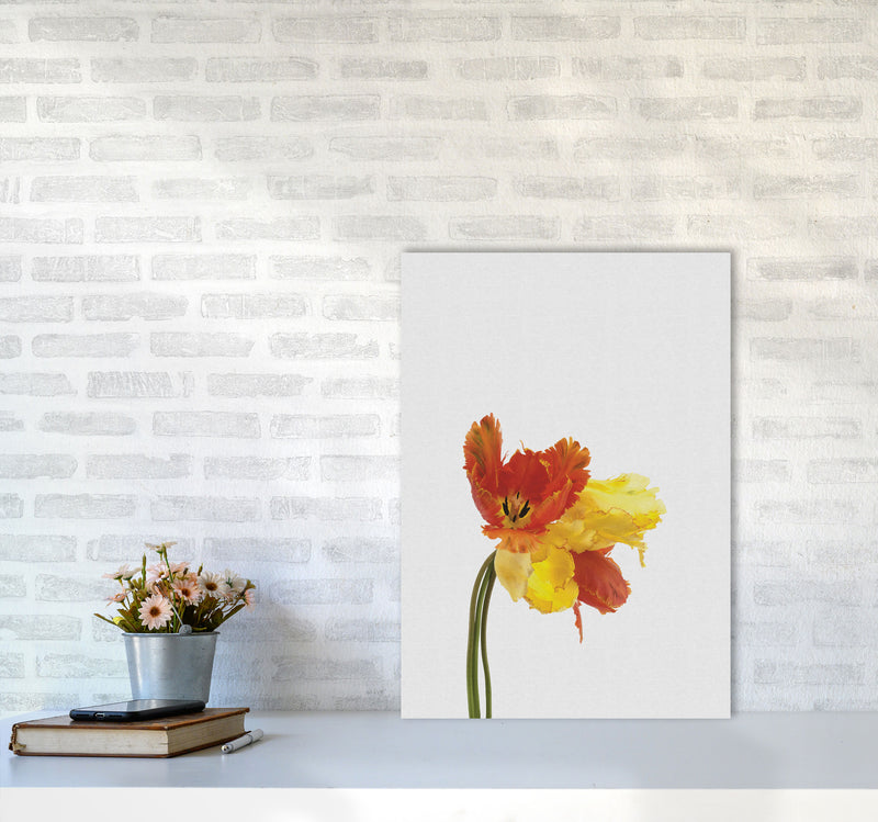 Tulip Still Life Print By Orara Studio, Framed Botanical & Nature Art Print A2 Black Frame