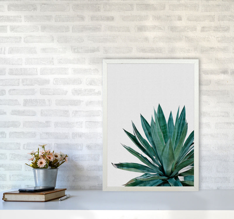 Agave Cactus Print By Orara Studio, Framed Botanical & Nature Art Print A2 Oak Frame