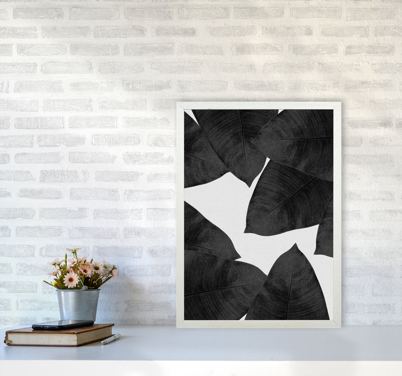 Banana Leaf Black & White II Print By Orara Studio A2 Oak Frame