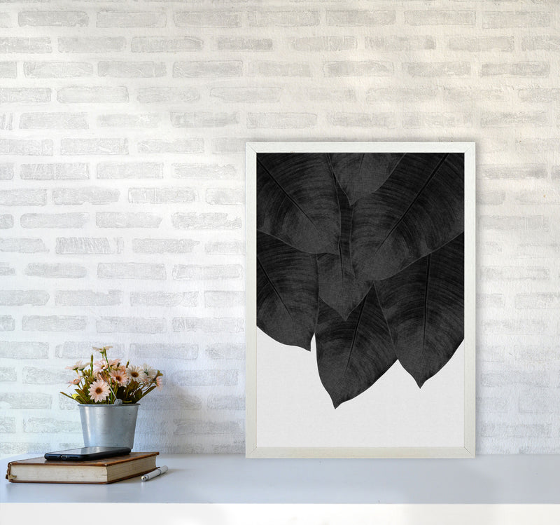 Banana Leaf Black & White III Print By Orara Studio A2 Oak Frame