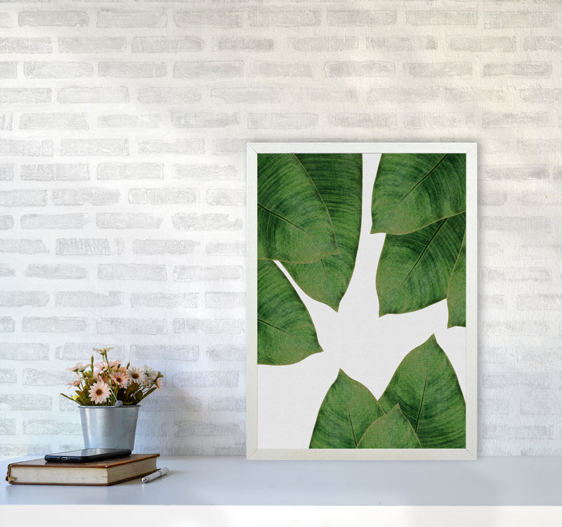 Banana Leaf I Print By Orara Studio, Framed Botanical & Nature Art Print A2 Oak Frame