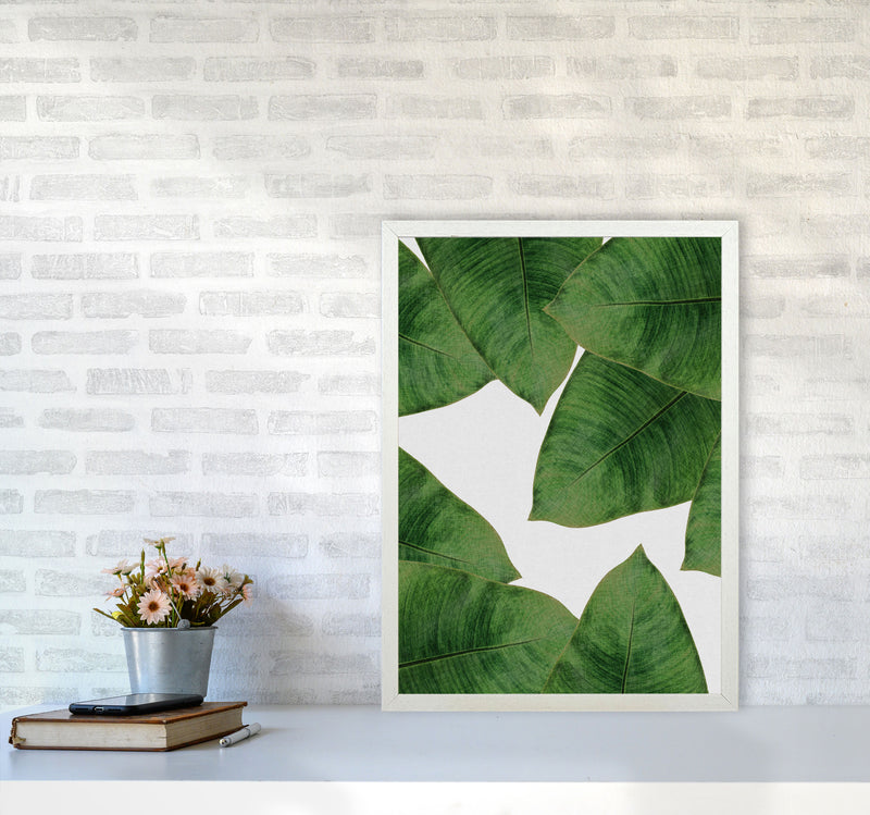 Banana Leaf II Print By Orara Studio, Framed Botanical & Nature Art Print A2 Oak Frame