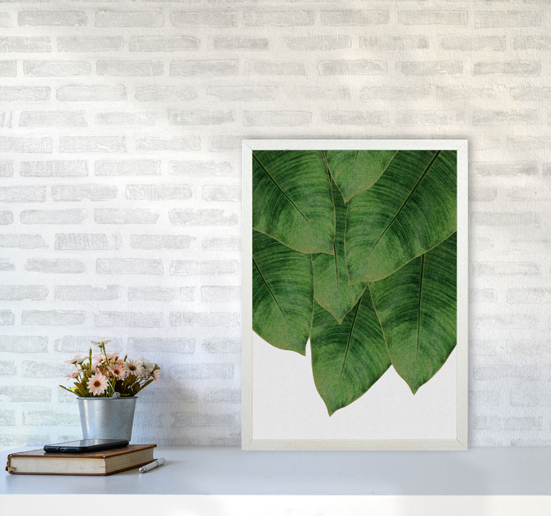 Banana Leaf III Print By Orara Studio, Framed Botanical & Nature Art Print A2 Oak Frame