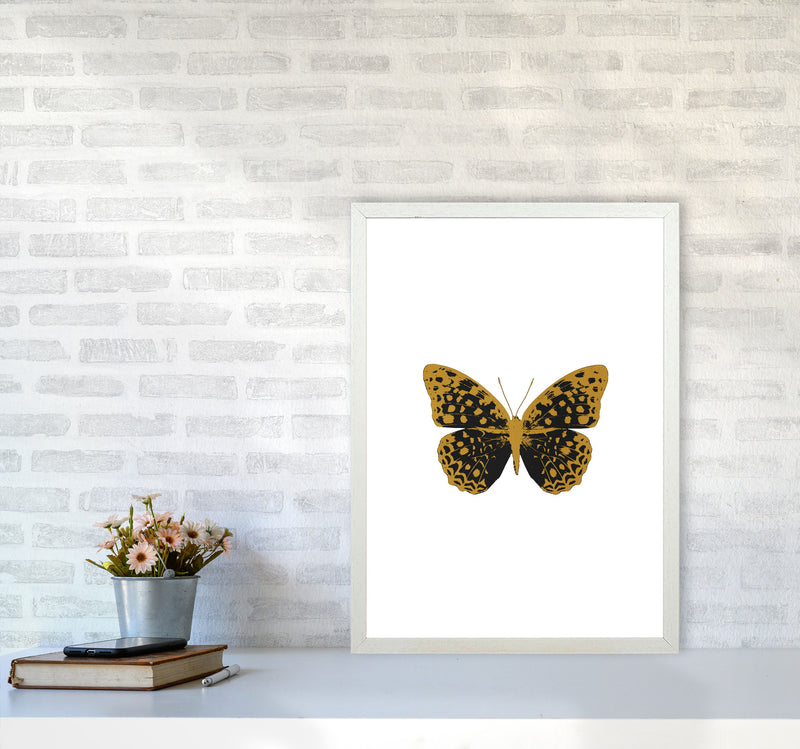 Black Butterfly Print By Orara Studio Animal Art Print A2 Oak Frame