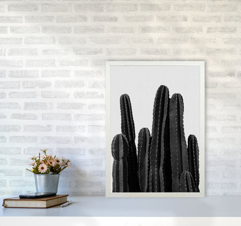 Cactus Black And White Print By Orara Studio, Framed Botanical Art A2 Oak Frame