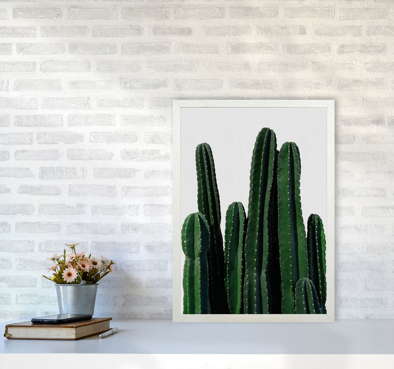 Cactus I Print By Orara Studio, Framed Botanical & Nature Art Print A2 Oak Frame