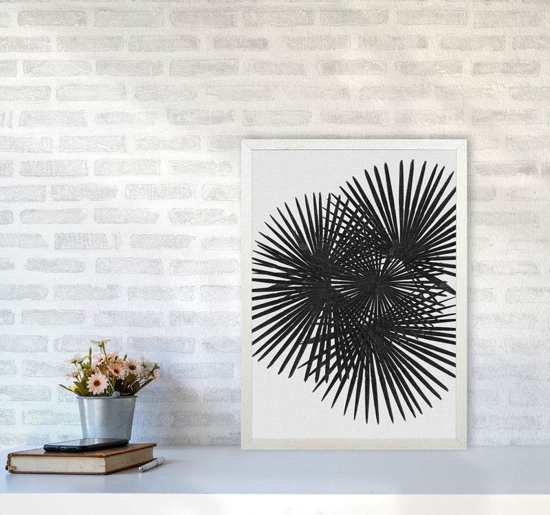 Fan Palm Black & White Print By Orara Studio A2 Oak Frame