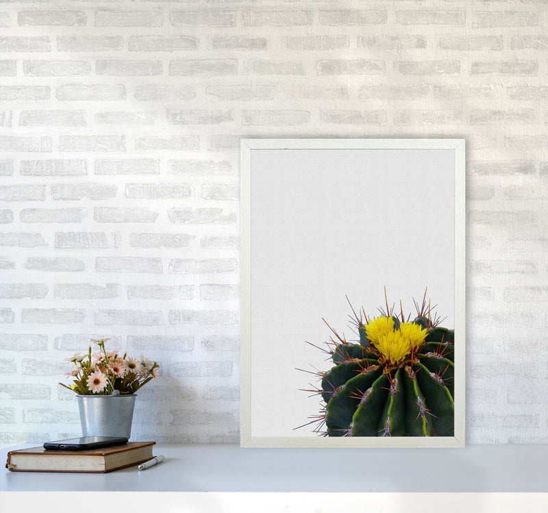 Flower Cactus Print By Orara Studio, Framed Botanical & Nature Art Print A2 Oak Frame