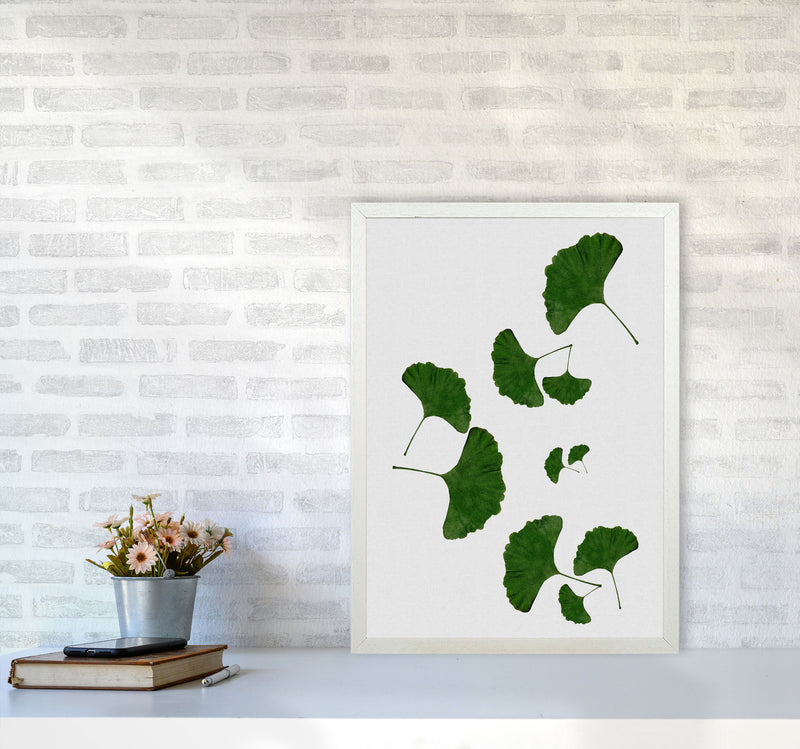 Ginkgo Leaf I Print By Orara Studio, Framed Botanical & Nature Art Print A2 Oak Frame