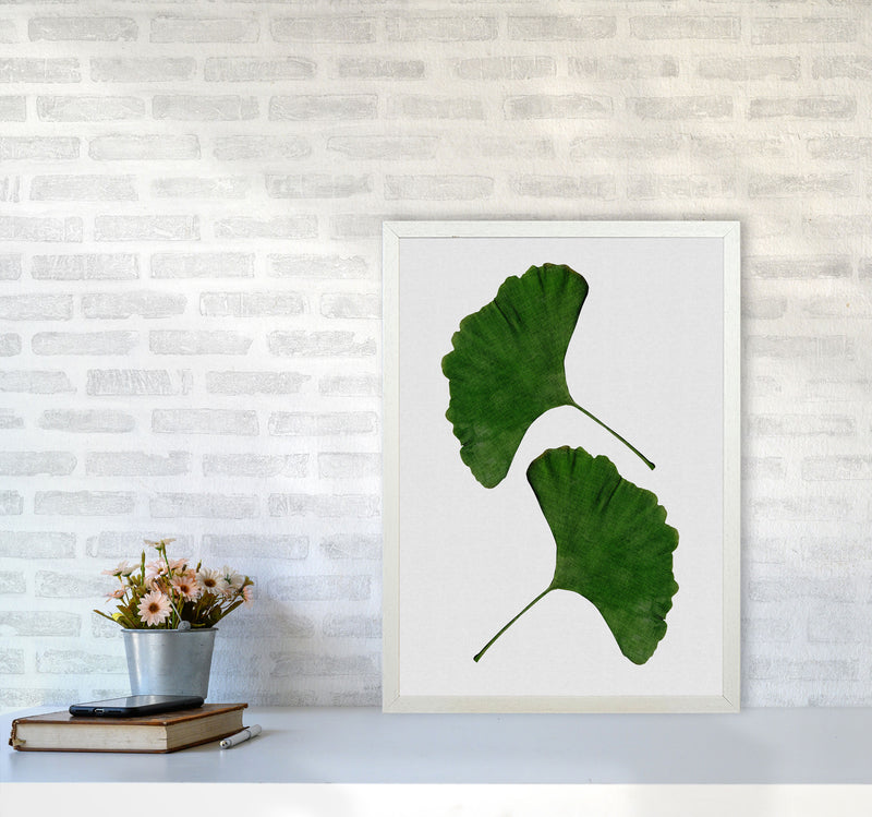 Ginkgo Leaf II Print By Orara Studio, Framed Botanical & Nature Art Print A2 Oak Frame
