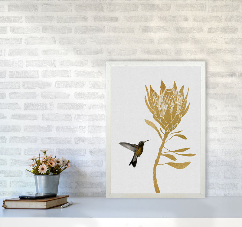 Hummingbird & Flower I Print By Orara Studio A2 Oak Frame
