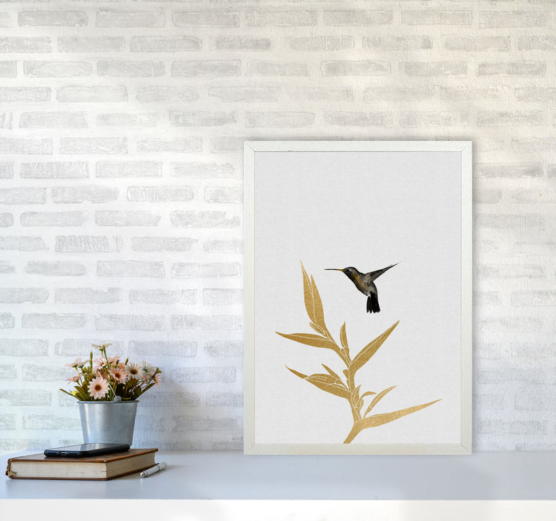 Hummingbird & Flower II Print By Orara Studio A2 Oak Frame