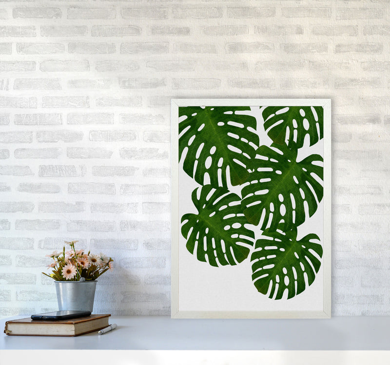 Monstera Leaf I Print By Orara Studio, Framed Botanical & Nature Art Print A2 Oak Frame