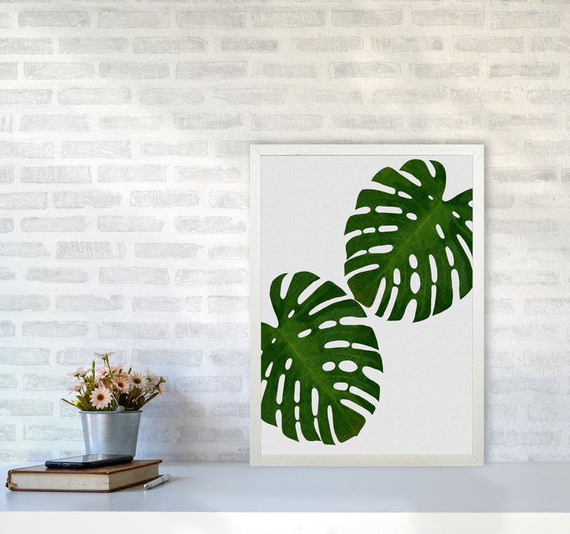 Monstera Leaf II Print By Orara Studio, Framed Botanical & Nature Art Print A2 Oak Frame