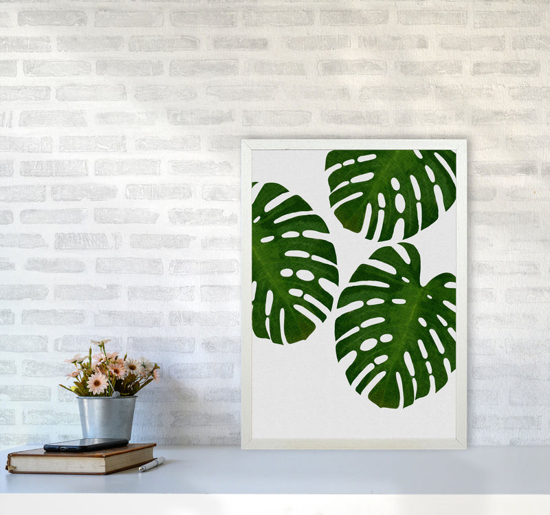 Monstera Leaf III Print By Orara Studio, Framed Botanical & Nature Art Print A2 Oak Frame