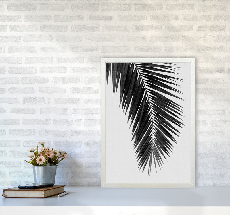 Palm Leaf Black & White I Print By Orara Studio A2 Oak Frame