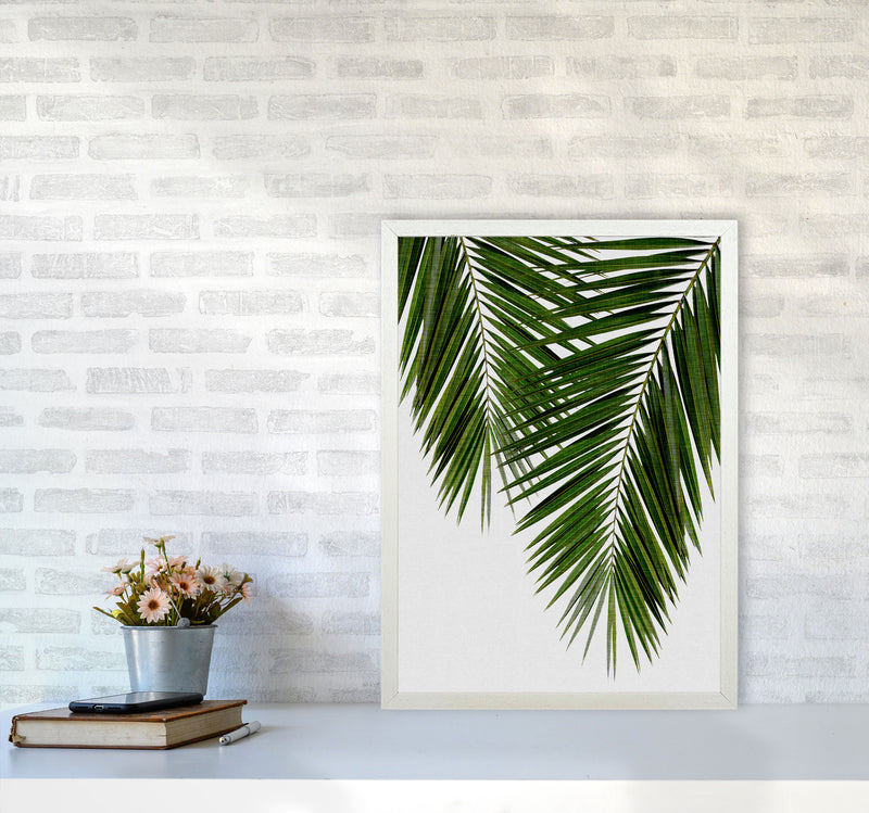 Palm Leaf II Print By Orara Studio, Framed Botanical & Nature Art Print A2 Oak Frame