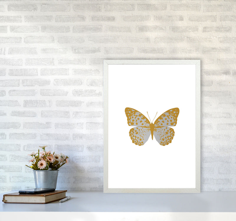 Silver Butterfly Print By Orara Studio Animal Art Print A2 Oak Frame