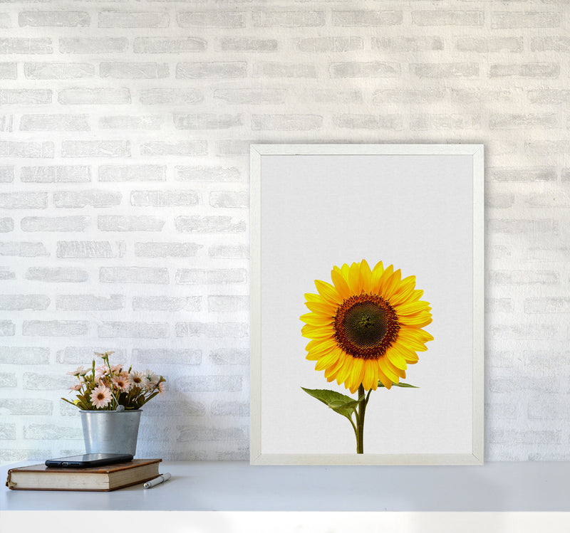 Sunflower Still Life Print By Orara Studio, Framed Botanical & Nature Art Print A2 Oak Frame