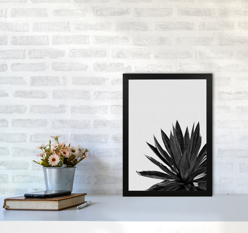 Agave Cactus Black And White Print By Orara Studio, Framed Botanical Nature Art A3 White Frame