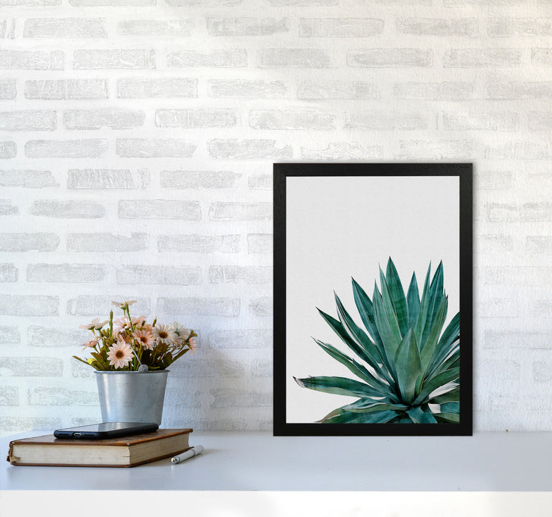 Agave Cactus Print By Orara Studio, Framed Botanical & Nature Art Print A3 White Frame
