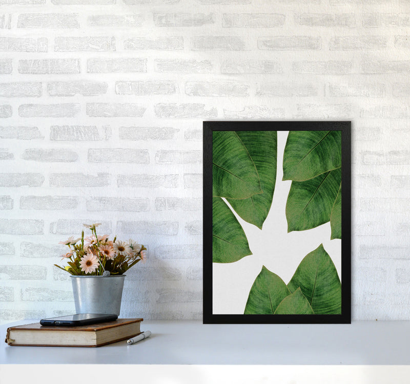 Banana Leaf I Print By Orara Studio, Framed Botanical & Nature Art Print A3 White Frame