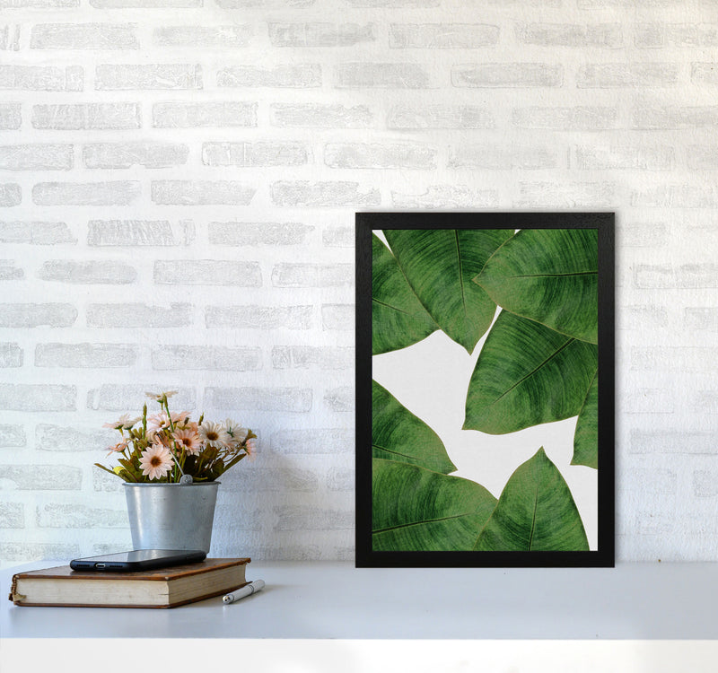 Banana Leaf II Print By Orara Studio, Framed Botanical & Nature Art Print A3 White Frame