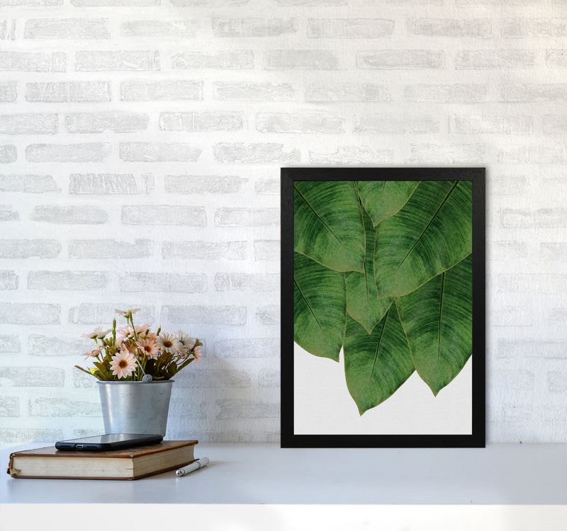 Banana Leaf III Print By Orara Studio, Framed Botanical & Nature Art Print A3 White Frame