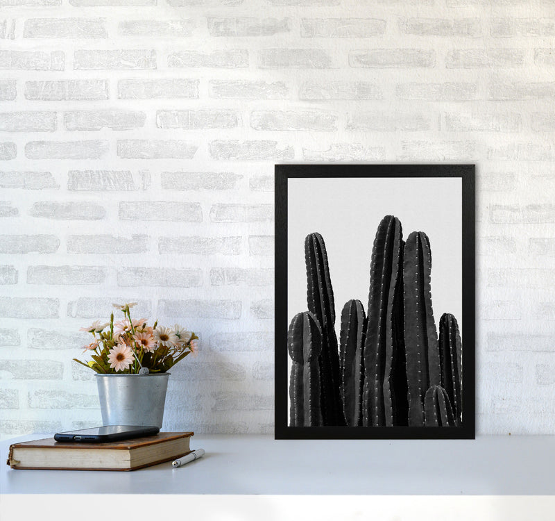 Cactus Black And White Print By Orara Studio, Framed Botanical Art A3 White Frame