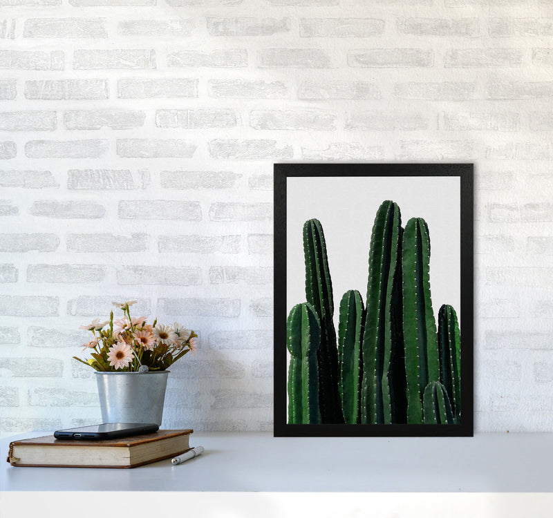 Cactus I Print By Orara Studio, Framed Botanical & Nature Art Print A3 White Frame