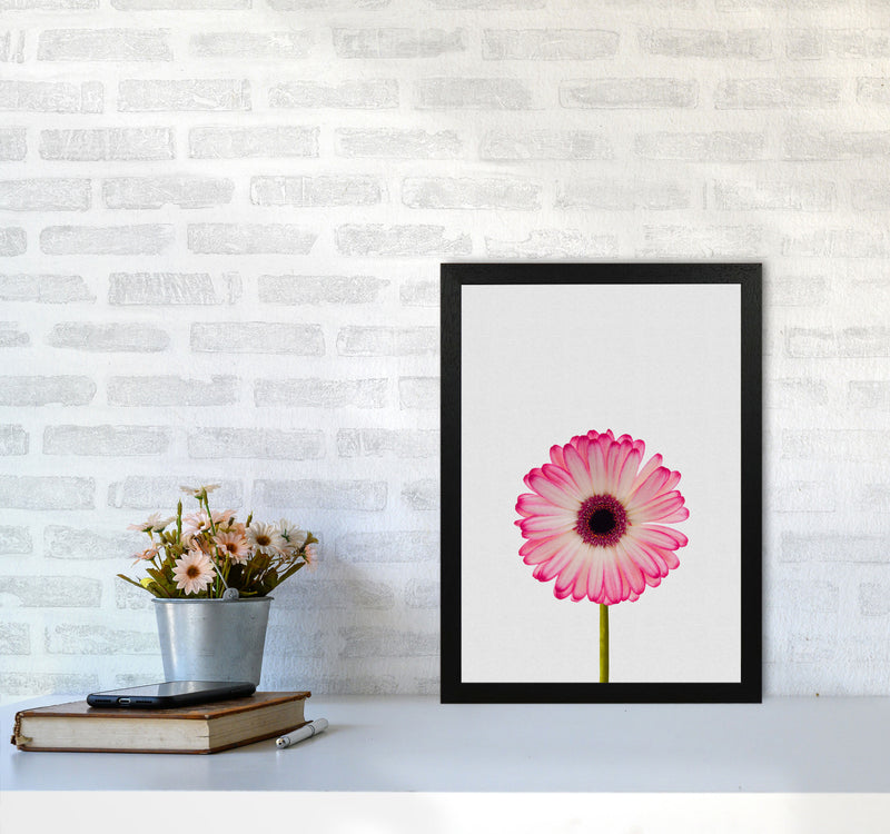 Daisy Still Life Print By Orara Studio, Framed Botanical & Nature Art Print A3 White Frame