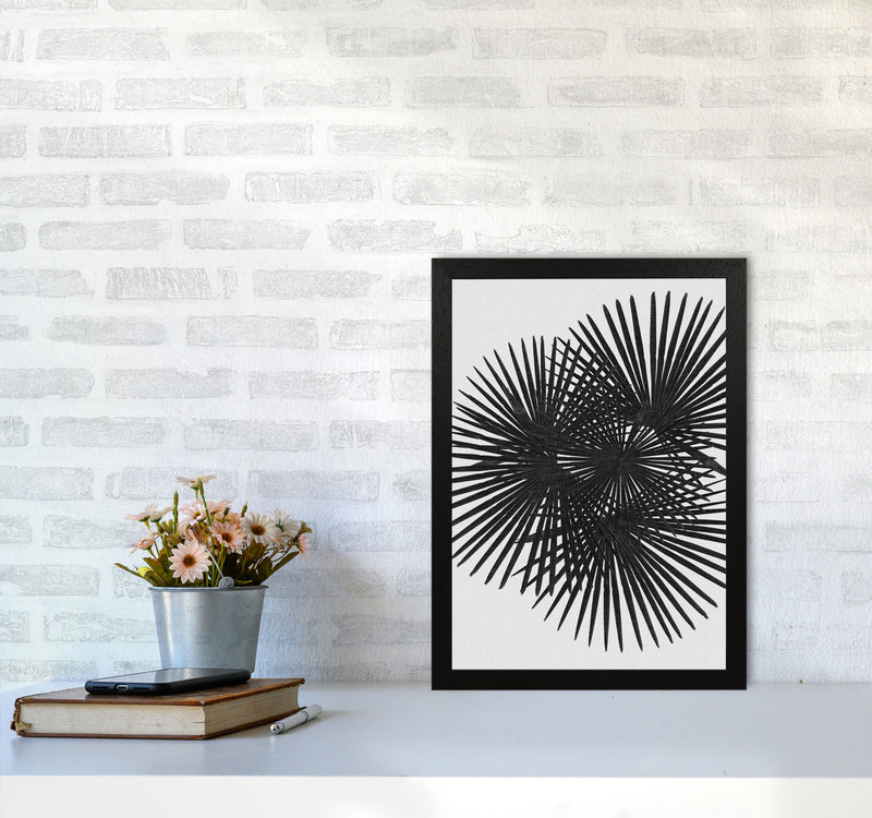 Fan Palm Black & White Print By Orara Studio A3 White Frame