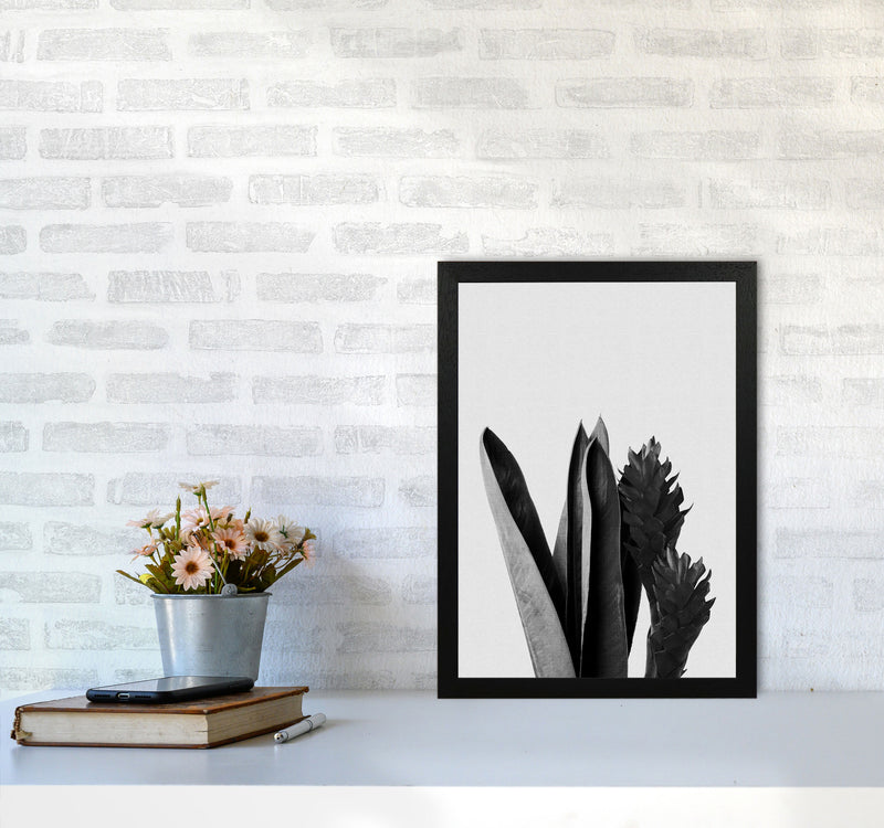Flower Black & White Print By Orara Studio A3 White Frame