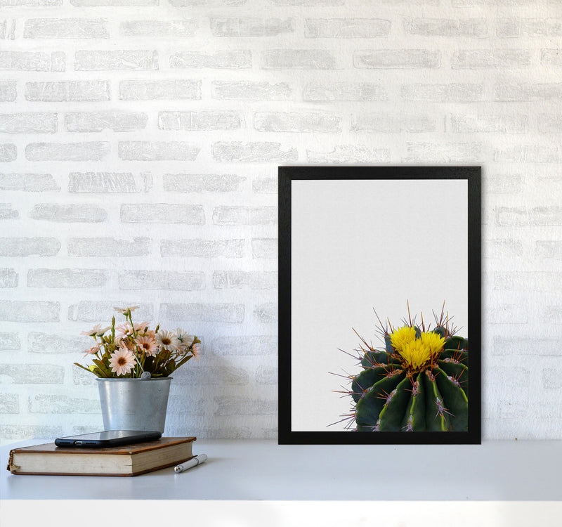 Flower Cactus Print By Orara Studio, Framed Botanical & Nature Art Print A3 White Frame