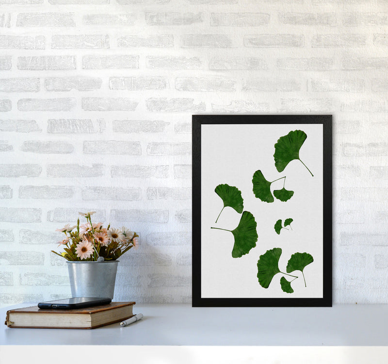 Ginkgo Leaf I Print By Orara Studio, Framed Botanical & Nature Art Print A3 White Frame