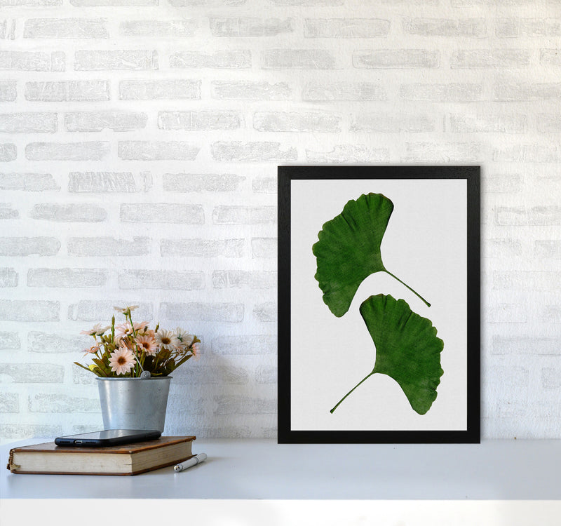 Ginkgo Leaf II Print By Orara Studio, Framed Botanical & Nature Art Print A3 White Frame
