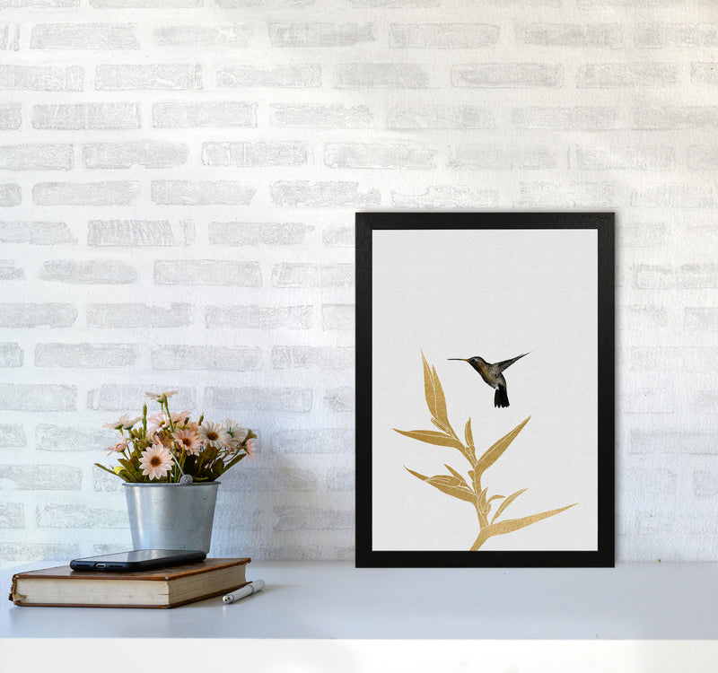 Hummingbird & Flower II Print By Orara Studio A3 White Frame