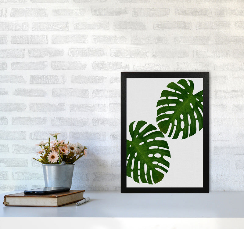 Monstera Leaf II Print By Orara Studio, Framed Botanical & Nature Art Print A3 White Frame