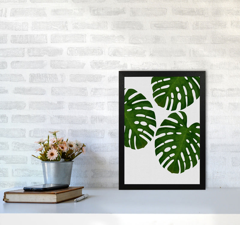 Monstera Leaf III Print By Orara Studio, Framed Botanical & Nature Art Print A3 White Frame