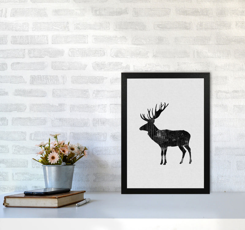 Moose Animal Art Print By Orara Studio Animal Art Print A3 White Frame