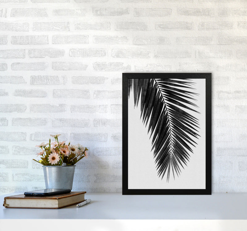 Palm Leaf Black & White I Print By Orara Studio A3 White Frame