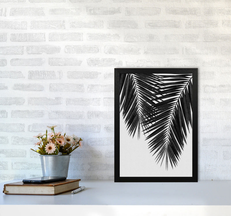 Palm Leaf Black & White II Print By Orara Studio A3 White Frame