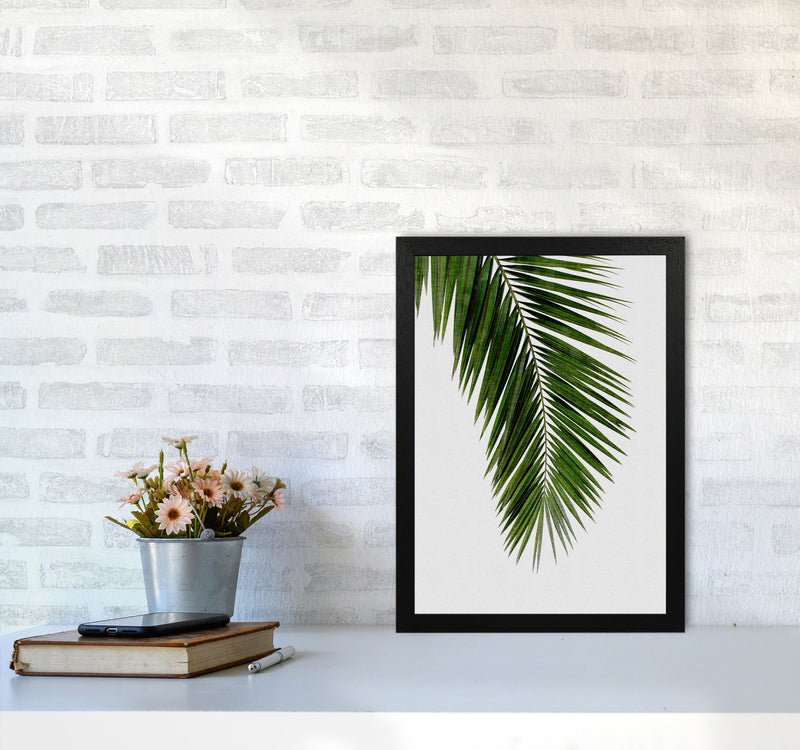 Palm Leaf I Print By Orara Studio, Framed Botanical & Nature Art Print A3 White Frame